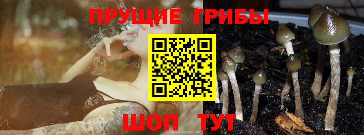 Буйнакск  Галлюциногенные грибы Cubensis  Псилоцибиновые грибы ЛСД  Вход с VPN 